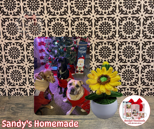 Personalized Leather Photo frame with any photo